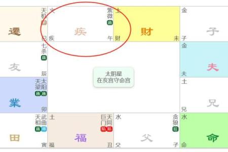 紫薇斗数部署宫