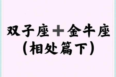 金牛座和哪个星座最配在一起最合适