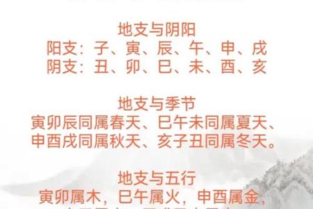 零基础学习快速算命