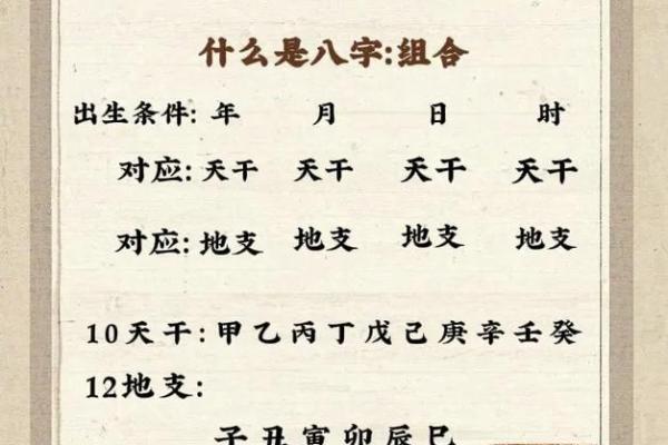 地支八字