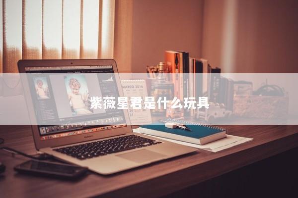 紫薇星君是什么玩具
