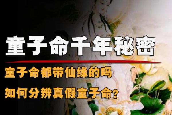 带天命转世的童子命八字特征
