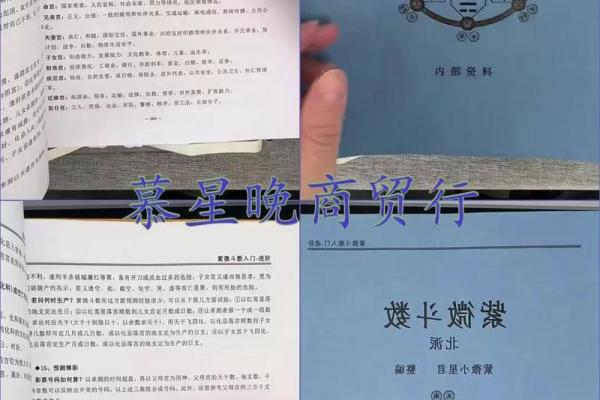 紫薇斗数梁派