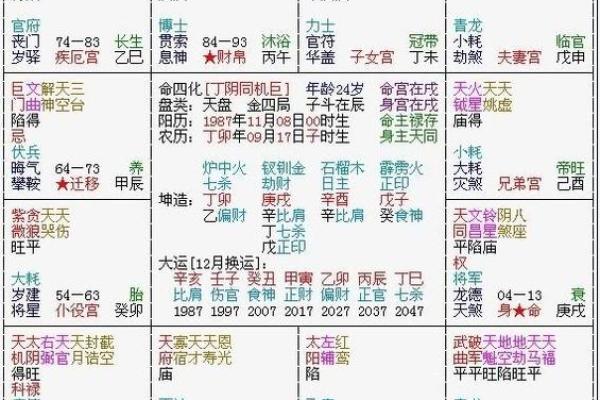 双胞胎紫薇斗数