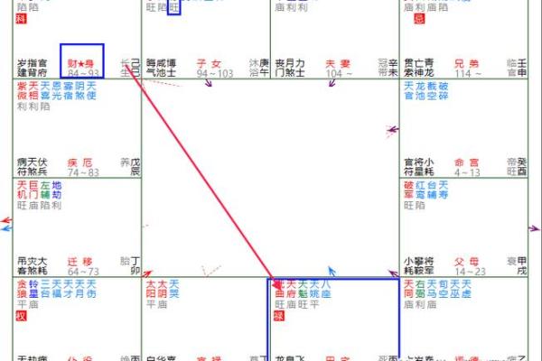 紫薇斗数对财库的影响