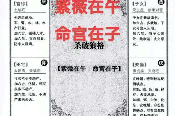 紫薇斗数性质
