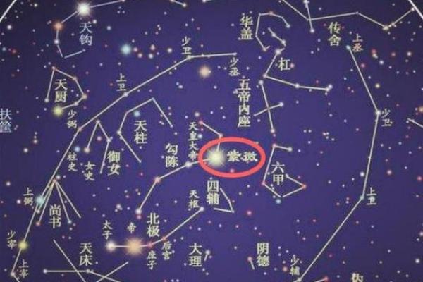 北斗星又叫紫薇星