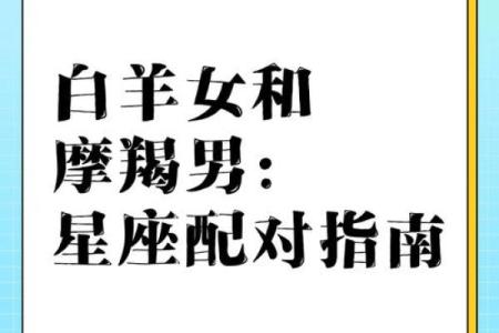 摩羯座男和哪个星座都合适