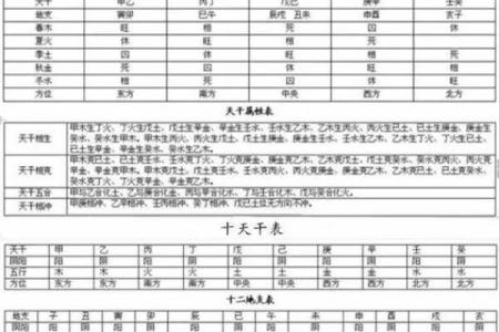 八字算命为何双胞胎的命运会出现不同的结局