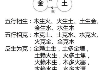 地支八字
