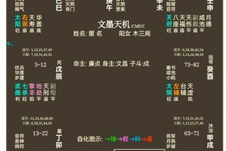 紫薇斗数的得陷平是什么意思