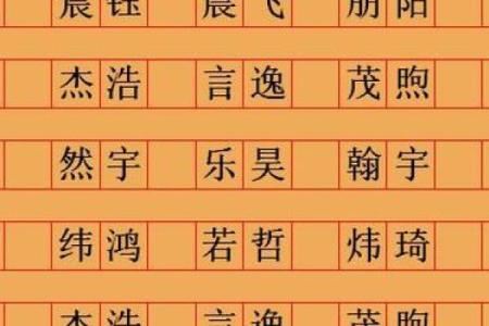 山东生辰八字取名服务
