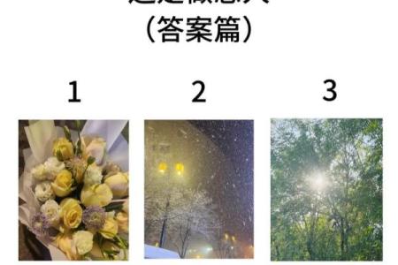 塔罗测试能否相亲遇到他？
