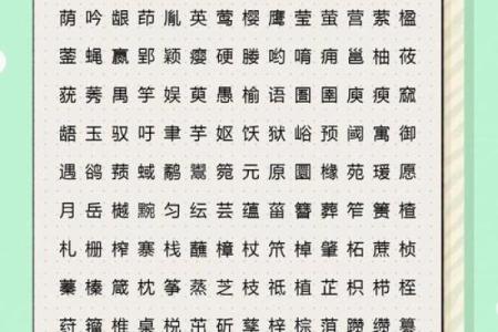 名字的五行解析是什么,名字五行分析测试
