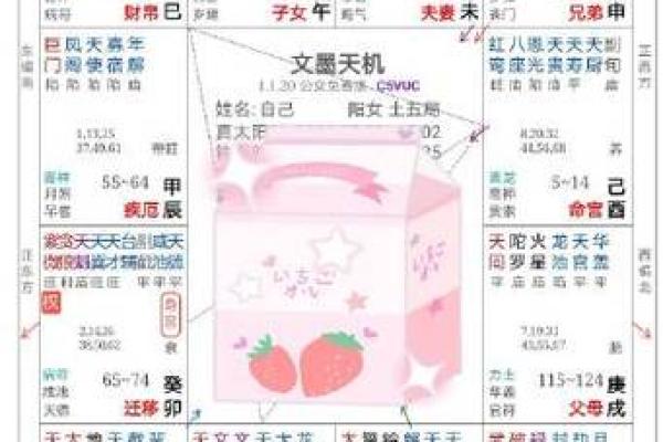 考试上岸紫薇斗数