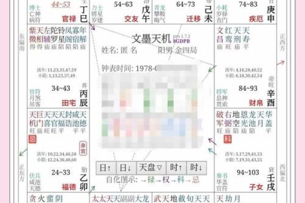 紫薇斗数断盘