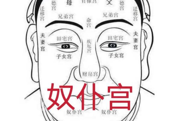 紫微斗数诸星落诸宫之:七杀星奴仆宫详解 紫微斗数诸星落诸宫之:七杀星奴仆宫详解