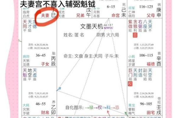 紫微斗数之夫妻宫与诸星,紫微星在夫妻宫是什么意思？