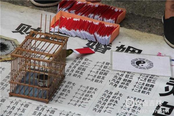 鸟拉屎在身上算命