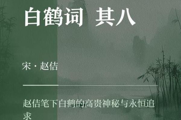 白鹤鸣八字
