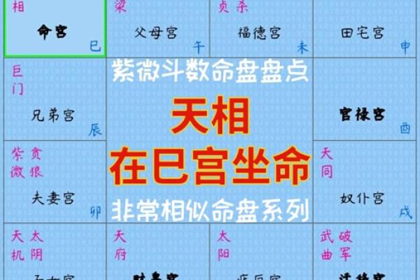 紫薇斗数事业宫在哪