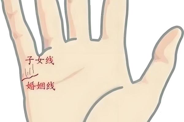 算命看手相算命图解 女性子女线