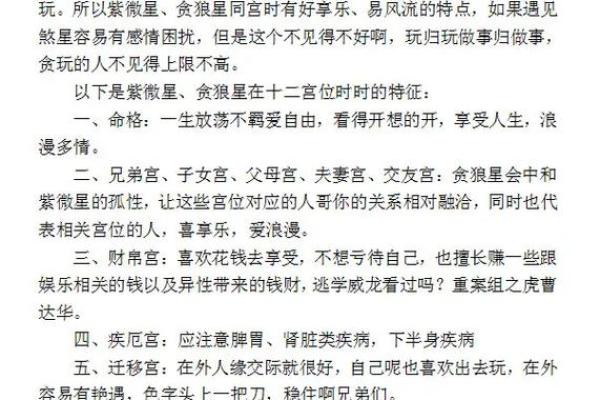 紫微斗数推广价值 紫微斗数专业术语？