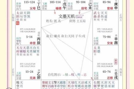 紫微斗数诸星落诸宫之：天梁星子女宫详解