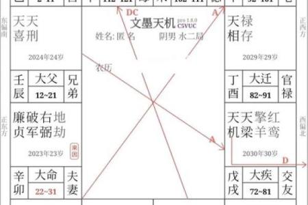 紫薇斗数不看分钟吗