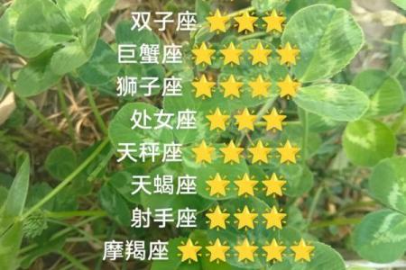 唐绮阳上半年白羊星座运势