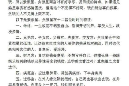 紫微斗数推广价值 紫微斗数专业术语？