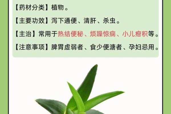 芦荟的风水作用