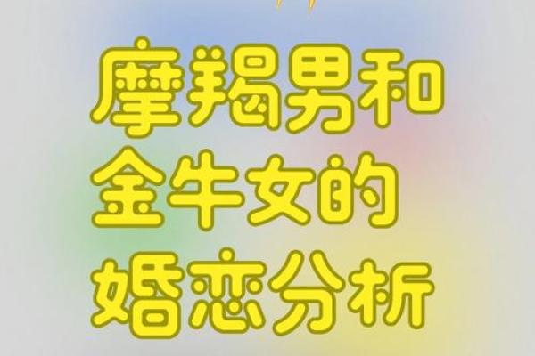 金牛座和哪些星座默契契合
