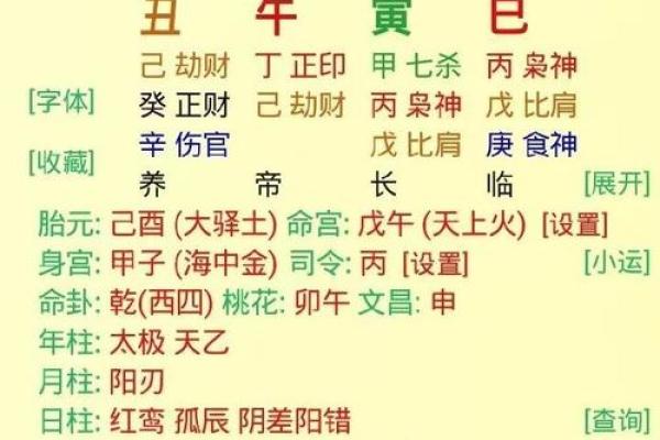 八字看配偶属相