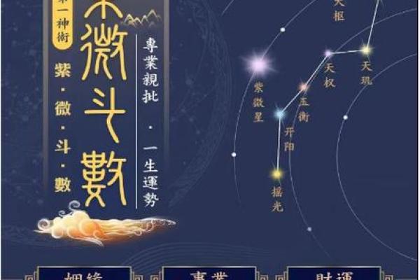 阿里紫薇斗数