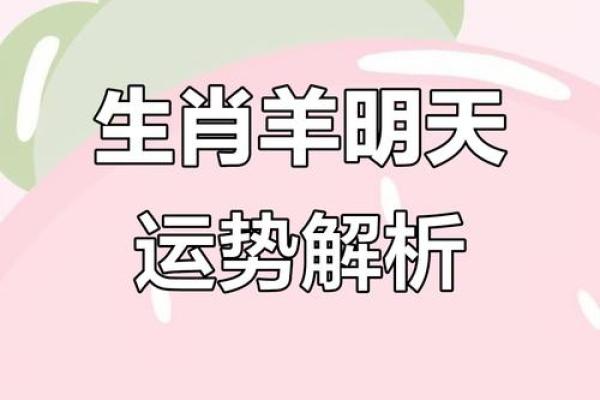 属羊的每个月星座运势如何