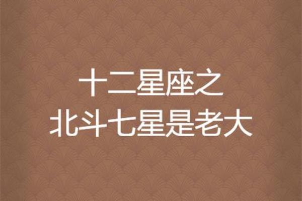 十二星座当老大的星座有哪些