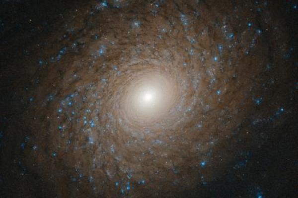 紫薇星系和天府星系的区别在哪里呢英语作文