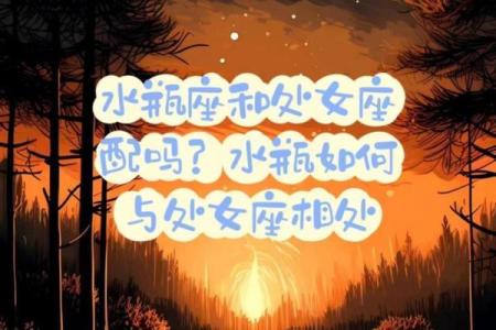 处女和水瓶星座在一起合适吗男生