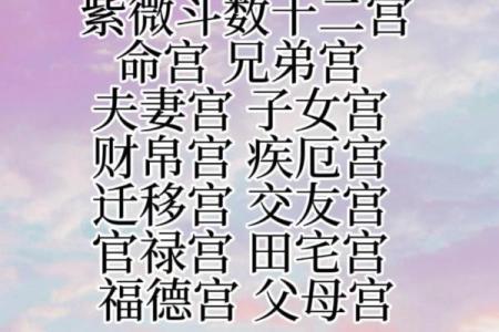 紫薇在官禄宫旺