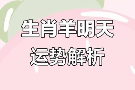 属羊的每个月星座运势如何