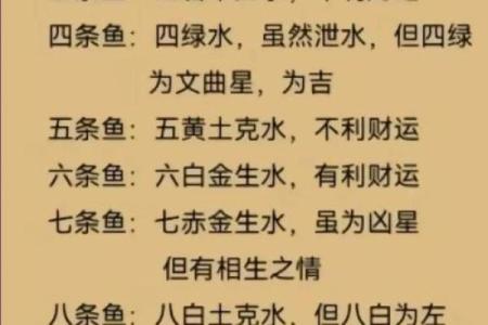 我是做生意的.怎样养风水鱼？