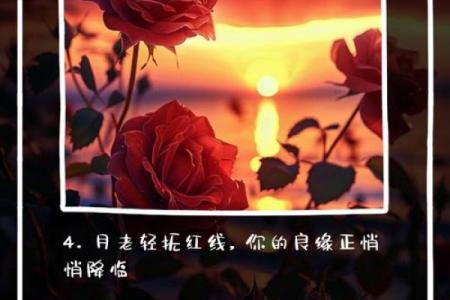 管姻缘的不是月老文案 管姻缘的除了月老还有谁？