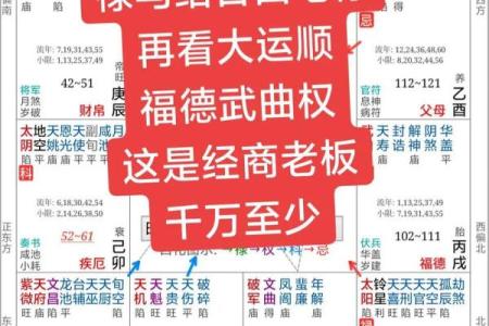 紫薇斗数八字算命软件