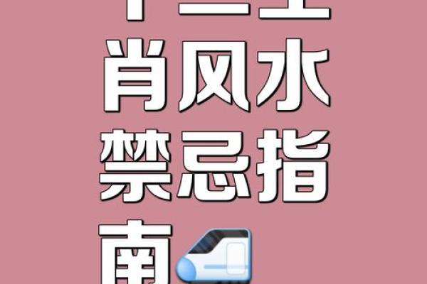 猴年八字