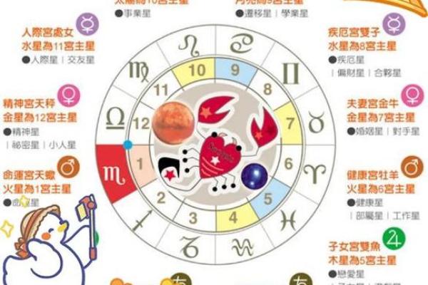 日常危机感十足 甚至有些神经过敏的星座