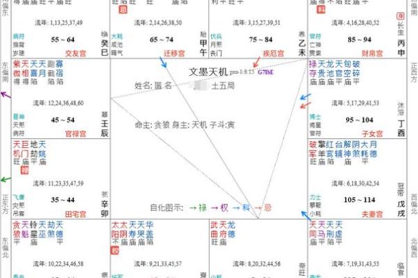 紫薇斗数紫薇七杀在命宫