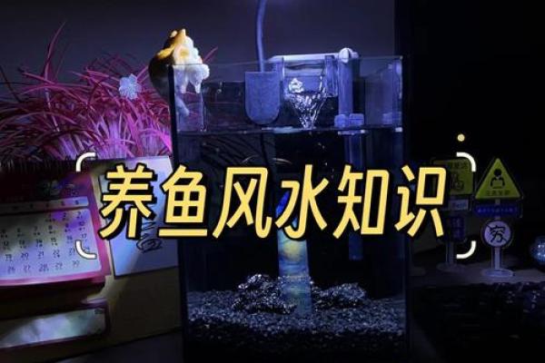 客厅鱼缸风水上应该如何摆放