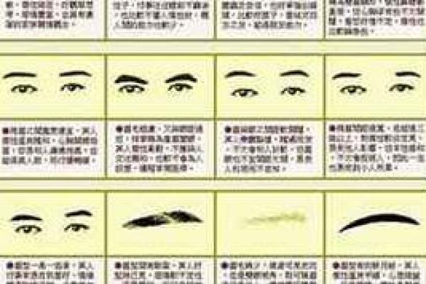 眉毛很浅在面相算命中是怎么说