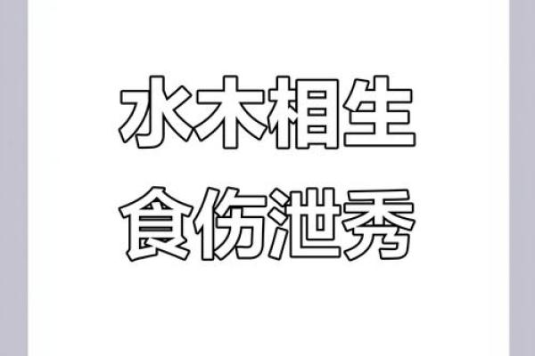 八字水木